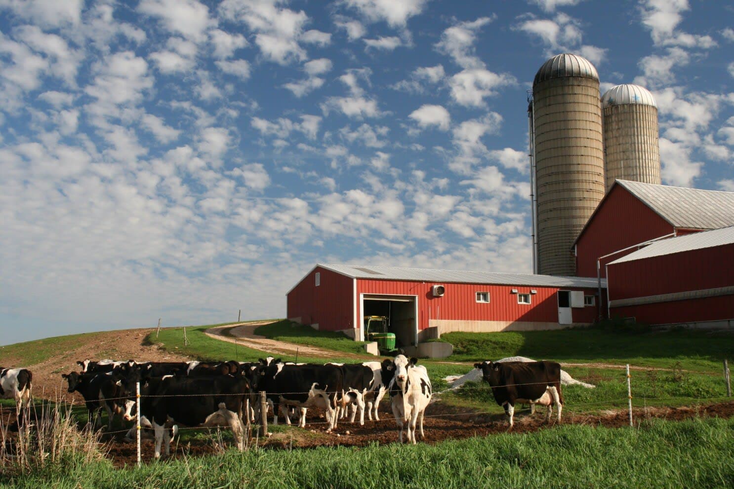 Wisconsin dairy farm — ingredients sourcing